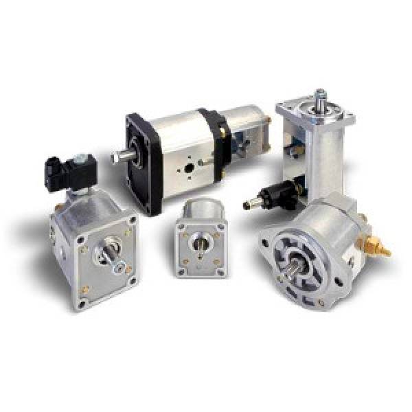 Casappa Polaris motor